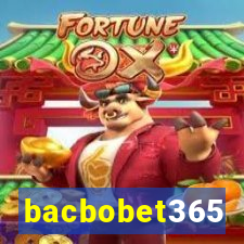 bacbobet365