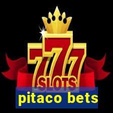 pitaco bets