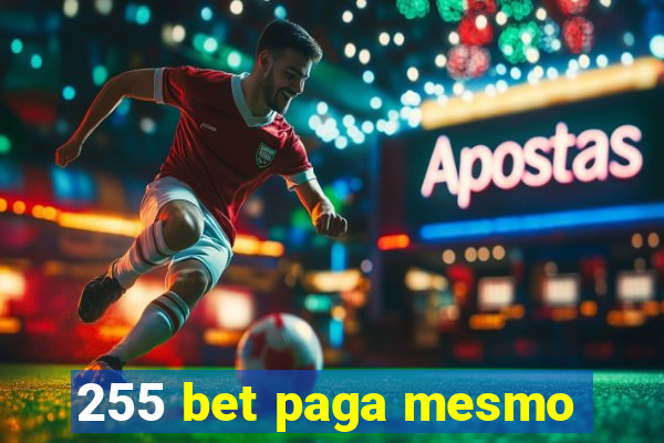 255 bet paga mesmo