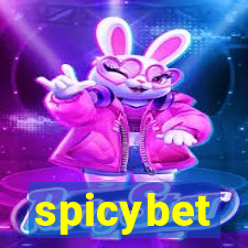 spicybet-1.com