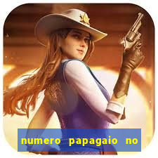 numero papagaio no jogo do bicho