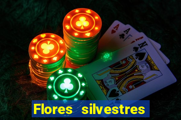 Flores silvestres brasileiras 25